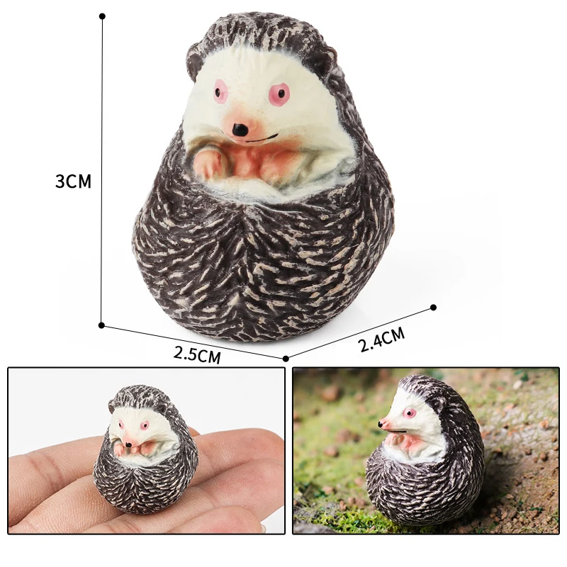 Hedgehog figure 6