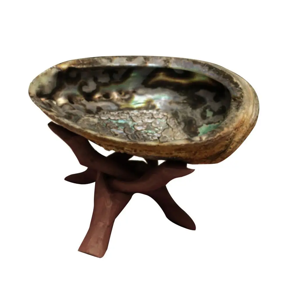 Natural Abalone Shell with Wooden Tripod Stand For Sage Smudging