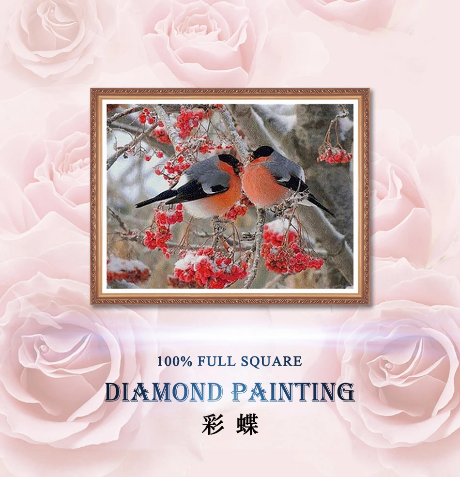 Diamond Painting Diamond embroidery 5d diy full square animals bird-diamond mosaic daimond painting diamond paint