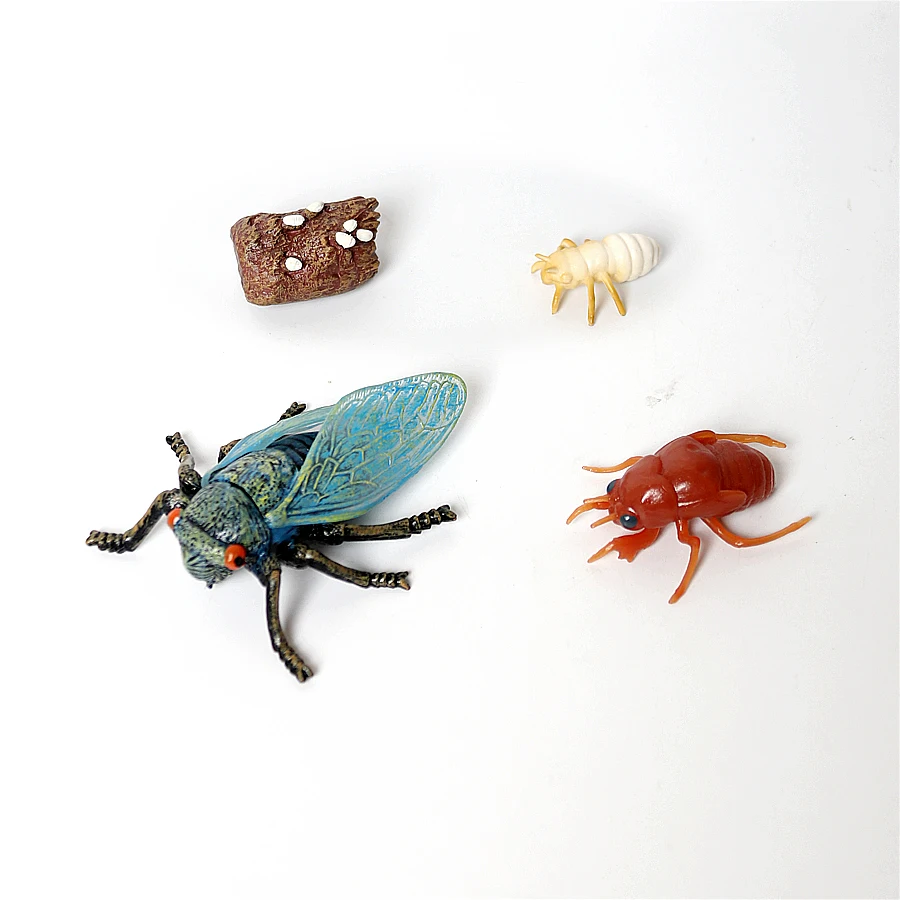 Katutude Giocattolo Ciclo Di Vita Insetti - Kit Vassoio In Legno Con Modelli Montessori Per Bambini 3-6 Anni (Coccinella, Ape, Grillo, Ecc.) - 5