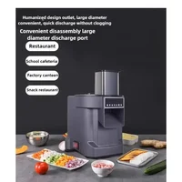 Coupe-légumes automatique multifonctionnel, coupe-légumes, commercial, haute puissance, fête de famille, tranchage en dés, déchiquetage, 110V, 220V 1