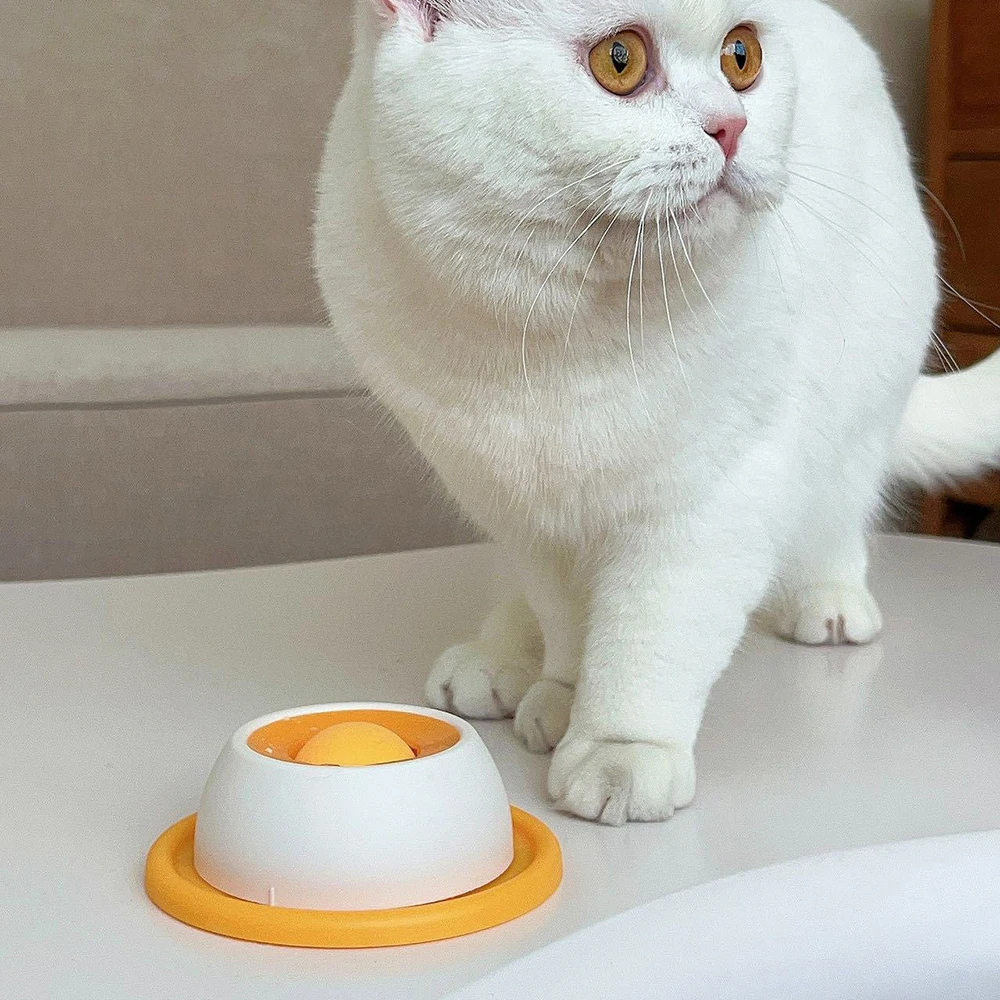 Anti Knock Slow Feeder Toy 6