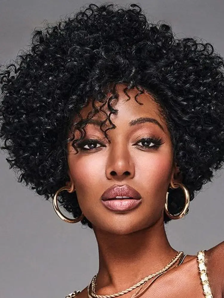 Short Curly Human Hair Wigs for Black Women P4/27/30 Short Curly Wigs for African American Glueless Human Hair human hair wigs