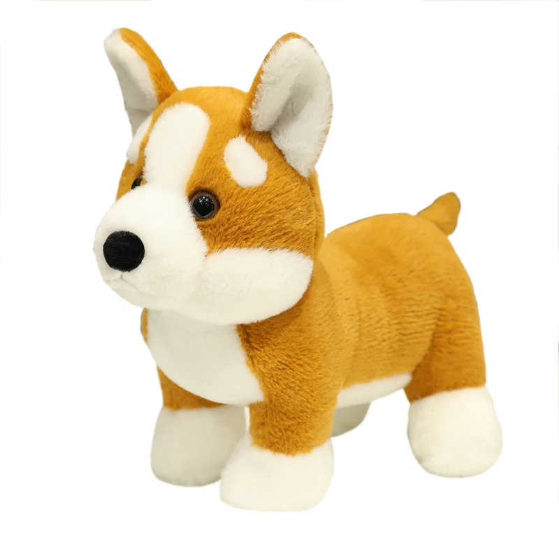 S00fe999e69ca4b549d723f6f7dd1657eY - Corgi Gifts