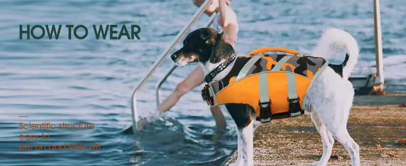 dog life jacket medium