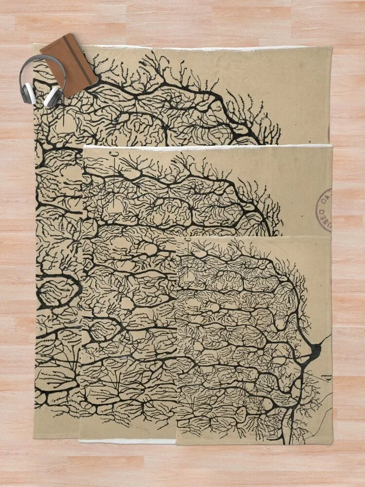 Cajal�� ���� ����ġ ������ ���, ��� ���� ���, ���� ħ�� ���