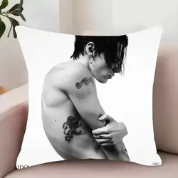 Cozy Decorative Pillow Case for Sofa, Living Room, or Office - Soft and Comfortable Fabric (Z1)