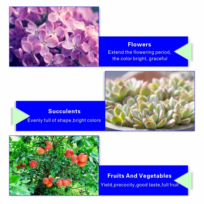 30W 50W 80W LED Grow Light AC 110V 220V Growth Floodlight Full Spectrum Indoor Plant Light Greenhouse Cob Flood Grow