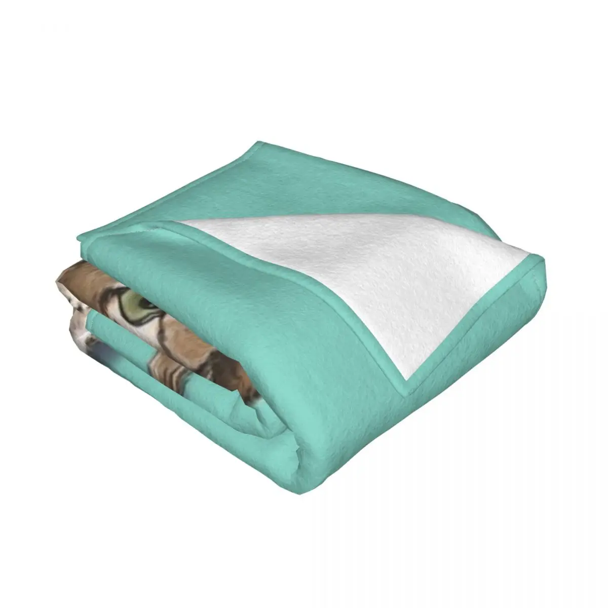 ���ָ� ������ ��� ħ�뺸, ħ�� �� ħ�뺸, �ν� ����