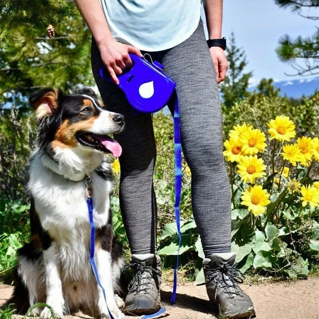 3-in-1 Dog Leash with Bowl 6
