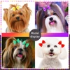 10/20/30PCS Polka Dot Decorate Dog Hair Bows with Pearl Puppy Hair Bowknot with Rubber Bands for Small Dogs Accessories 2