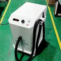 Dispositif de refroidissement de la peau pour thérapie cryogénique verticale, refroidisseur d'air froid Zimmer, Machine de soulagement de la douleur, évitement des blessures thermiques 1