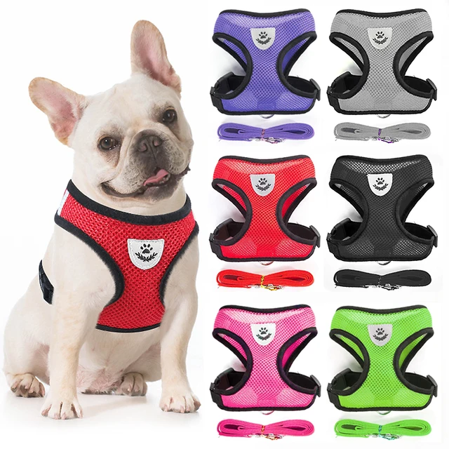 Breathable Mesh Cat Small Dog Harness And Leash Set Adjustable Cat Harnesses Puppy Harness Vest For French Bulldog Chihuahua Pug Breathable Mesh Cat Small Dog Harness And Leash Set Adjustable Cat Harnesses Puppy Harness Vest For French Bulldog Chihuahua Pug