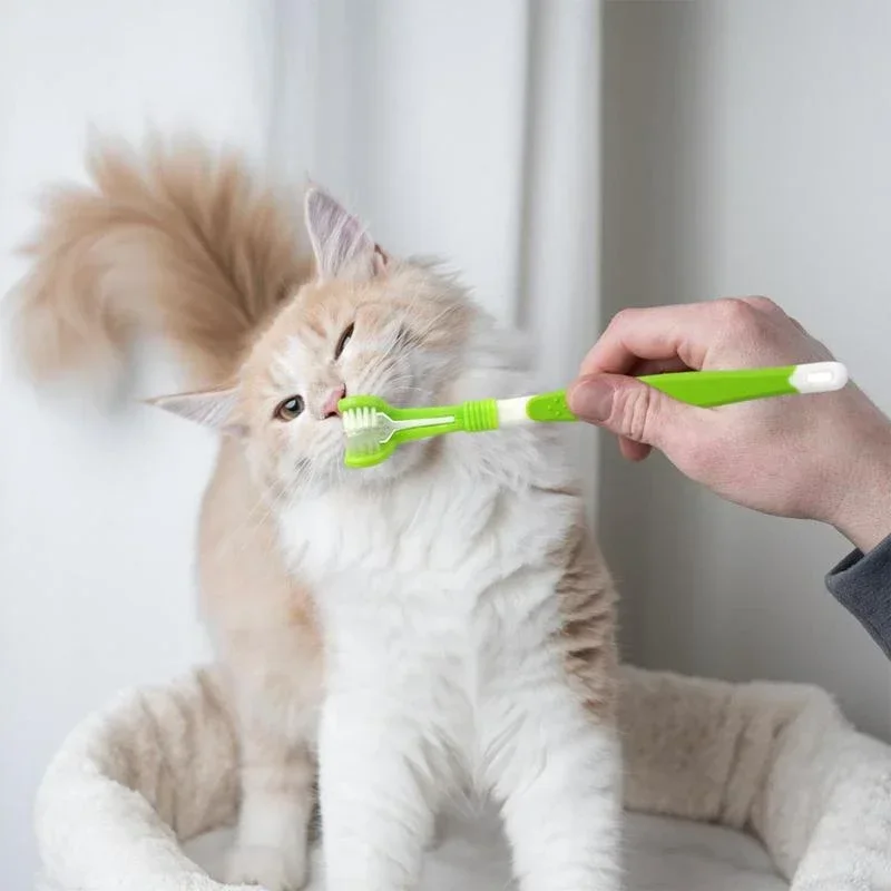 3-Sided Pet Toothbrush Dog Plastic Toothbrush Removing Bad Breath Tartar Cleaning Mouth Pet Dental Care Cat Cleaning Mouth Best Sellers In Pet Supplies
