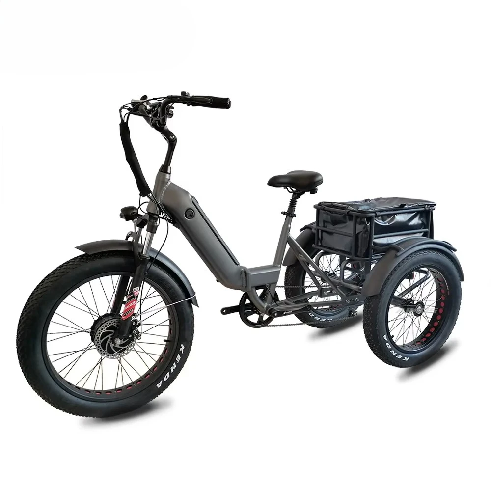 24-Zoll-Elektro-Dreirad, fetter Reifen, 3 Räder, elektrisches Fahrrad, Fracht, elektrisches Dreirad 3