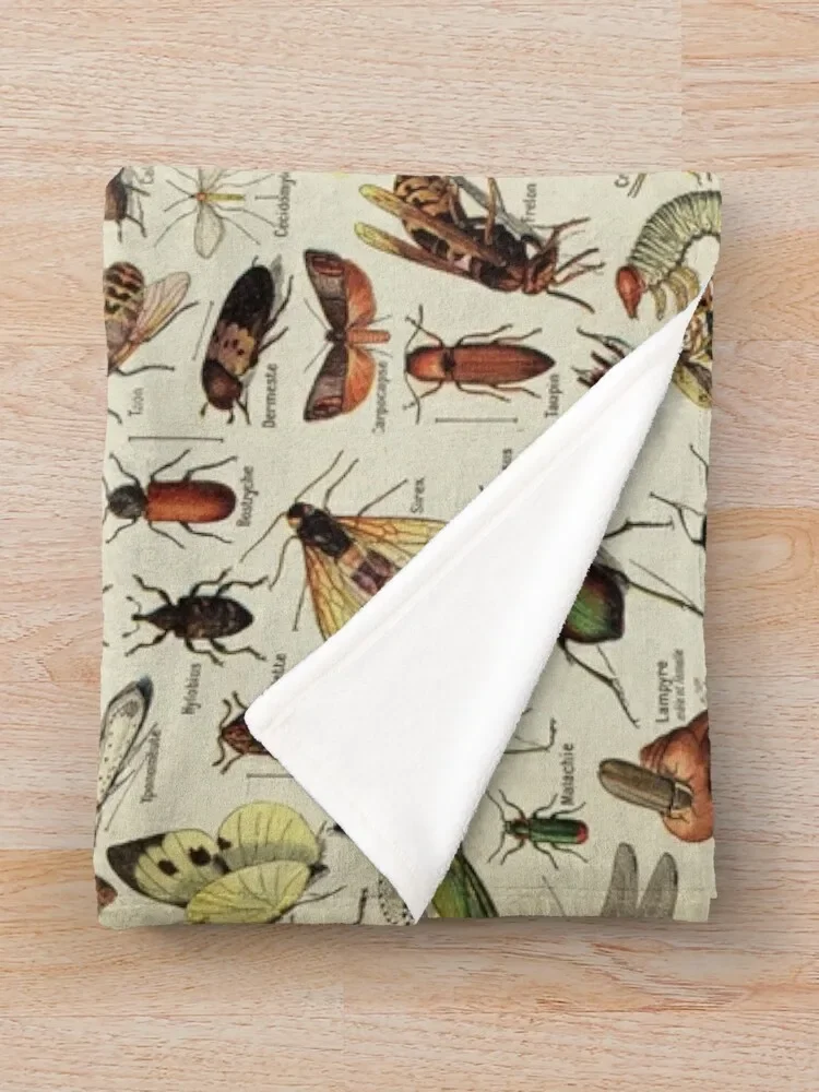 ���� ��Ʈ. ������ �Ϸ���Ʈ���̼�, �ؽ�Ʈ ����ġ ������ ���, �Ϳ���  �̺� ���