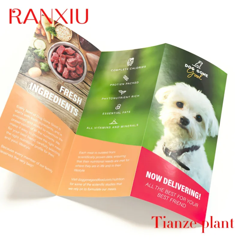 Custom High Quality Leaflet Printing Gloss Design Color Paper Brochure Folding Printing Flyer With Good Price