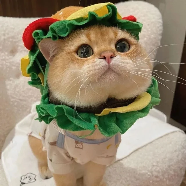 Cat Burger Headset Cute Pet Hat Dog Headwear Small Dog Taking Photos Dress Up Accessories Cat Burger Headset Cute Pet Hat Dog Headwear Small Dog Taking Photos Dress Up Accessories