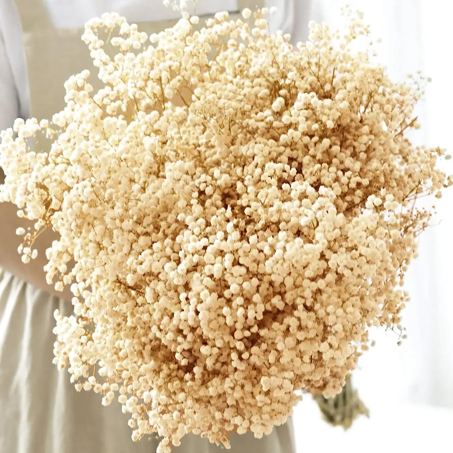 

Natural Fresh Dried Preserved Flowers Gypsophila Eternal Breath Bouquets Valentine's Day Gift Wedding Boho Home Decor Paniculata