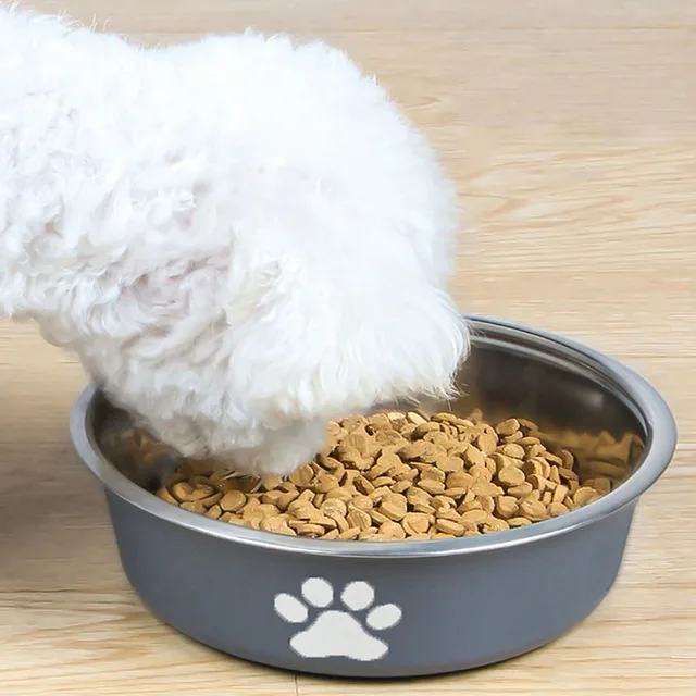 Cat bowl stainless steel dog basin new printed pet supplies dog bowl silicone bottom non-slip pet drinking water feeding bowl 3