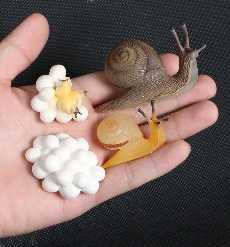 Anti Estrés Niños Adultos Juguete Sensorial De Caracol Aprieta Y Suelta - Figura Realista En Goma TPR Con Carcasa Dura Para Niños Modelo Cognición STEM Anti Estrés Niños Adultos Juguete Sensorial De Caracol Aprieta Y Suelta - Figura Realista En Goma TPR Con Carcasa Dura Para Niños Modelo Cognición STEM