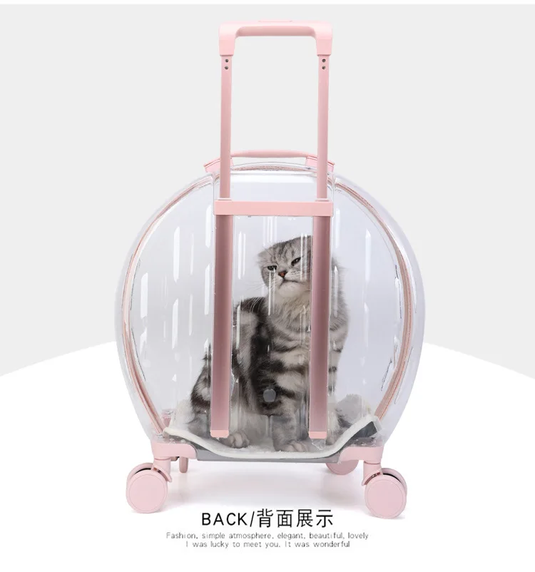 https://ae01.alicdn.com/kf/S012433c5359d46d286f27a64d3f1ed3dN.jpg?width=750&height=802&hash=1552