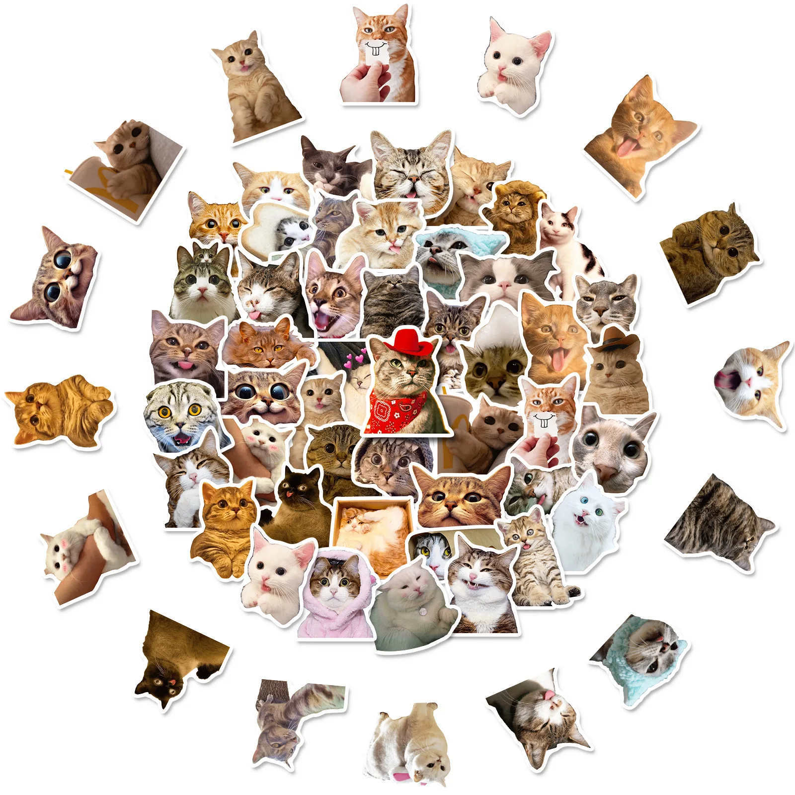 Cat stickers 50Pcs Funny Cat Stickers Adorable Kawaii and Colorful Decals Water Bottles Laptops and phone cartoon decoration stickers cartoon stickers