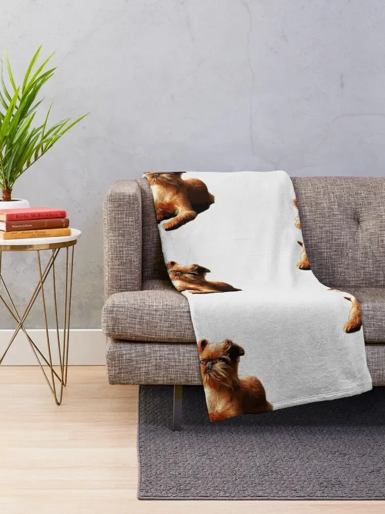 ��� �׸��� ȭ���� �� ��Ʈ ���� �ڽ����� �ִϸ��̼�  ��� ������