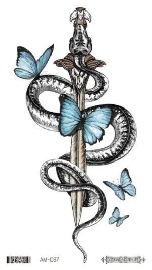 Image 37