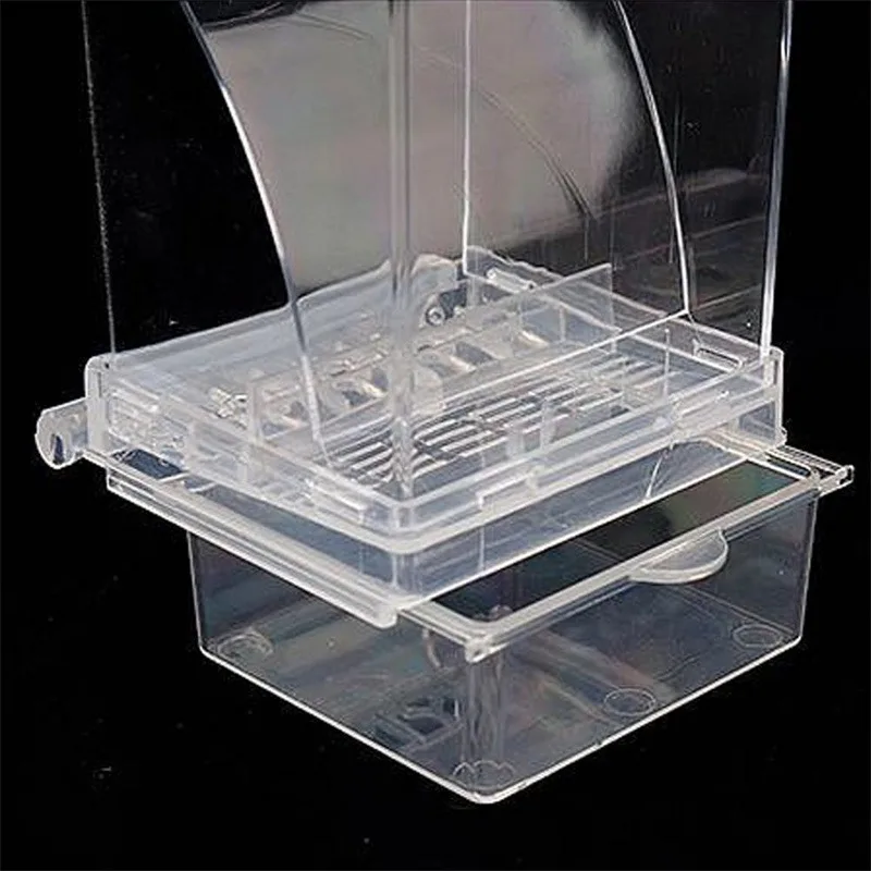 Spill-Proof Automatic Acrylic Bird Feeder & Drinker
