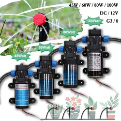 45/60/80/100 Watt DC 12V Fresh Water Pump Diaphragm Self Priming Sprayer Pump Automatic Switch 3/8'' Connection 4/5/6/8L per Min