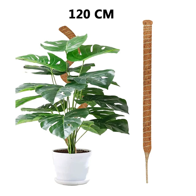 1pcs 120cm
