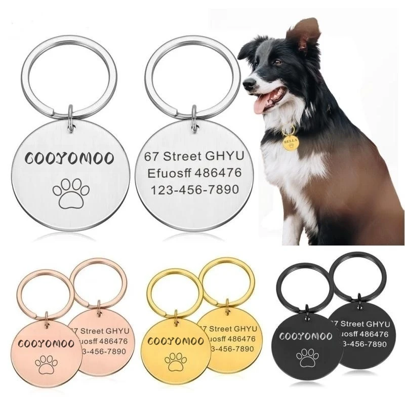 Empreinte de patte réelle sur le collier Bijoux dimpression de patte de  chien Perte de collier