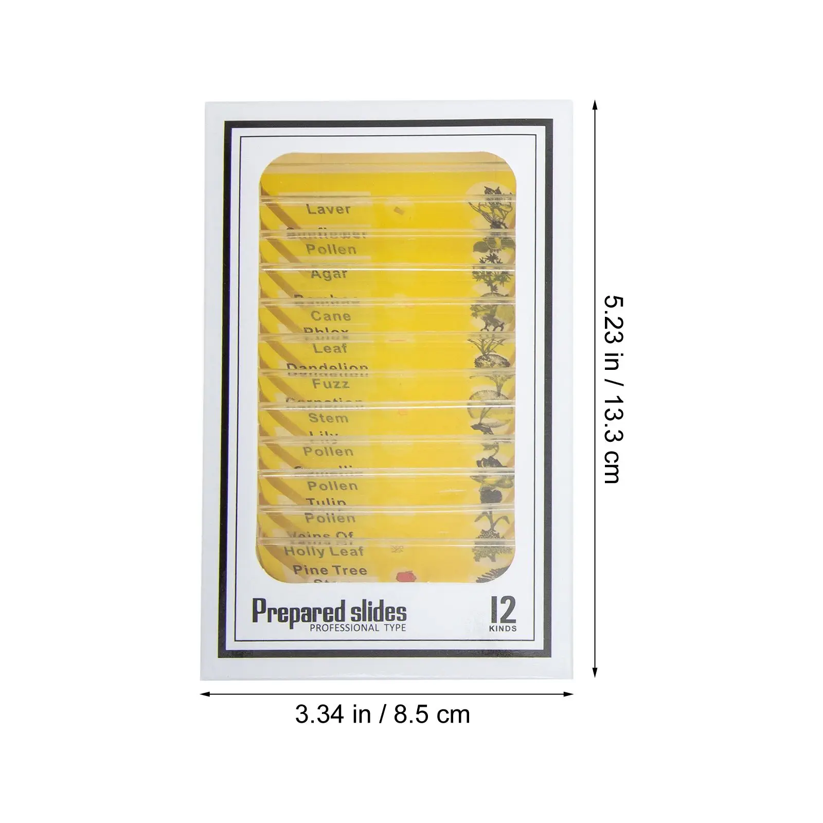 48 Pcs Microscope Slides Kit English Tags Kids Science Specimen Glass ...