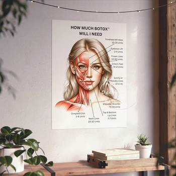 Pittura su tela Semplicità Vasi muscolari facciali Arte dettagliata Educazione Bellezza medica Poster medici Camera Decorazione della parete di casa