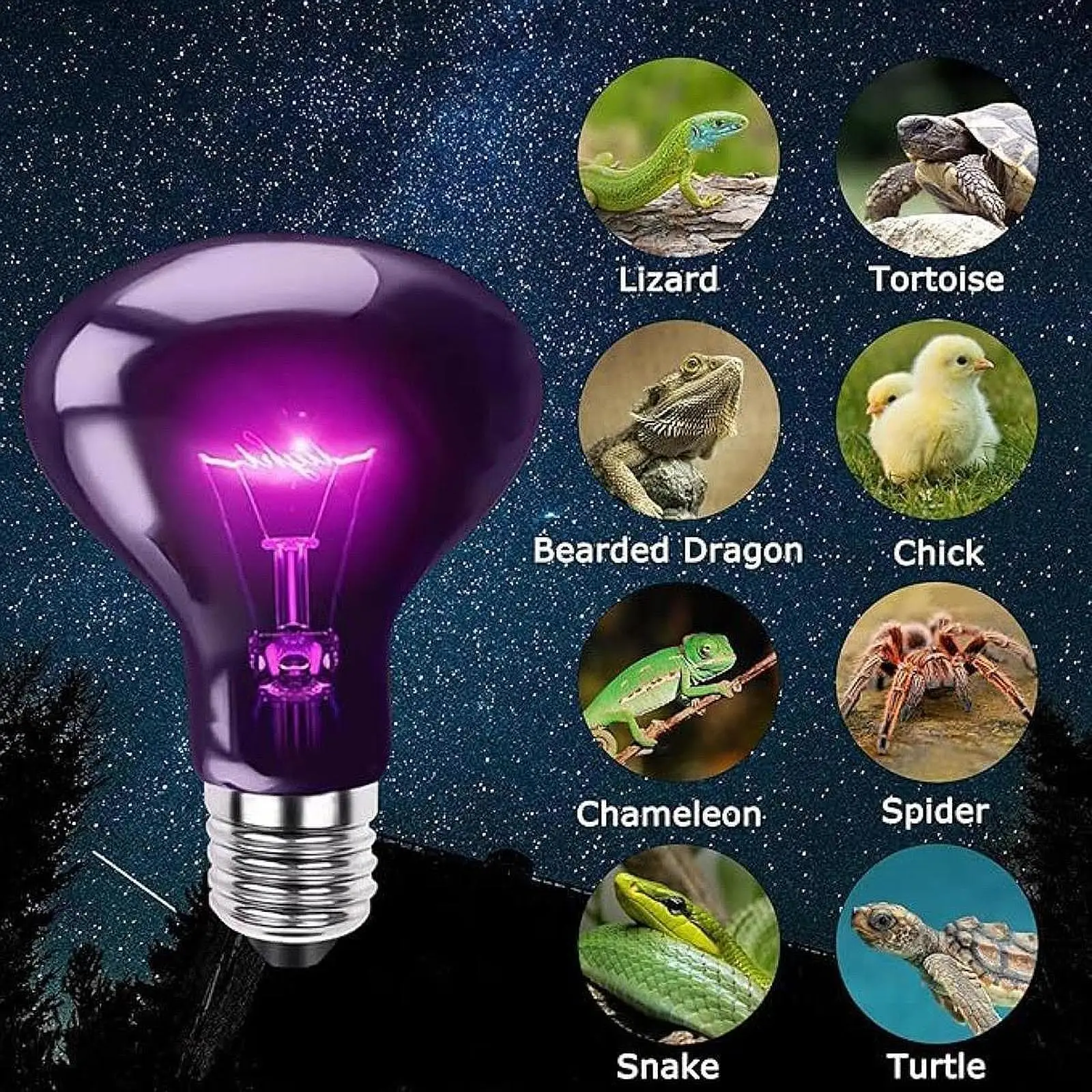 Reptile Night Light Bulb Simulated Moonlight Purple Heat Lamp for Amphibian