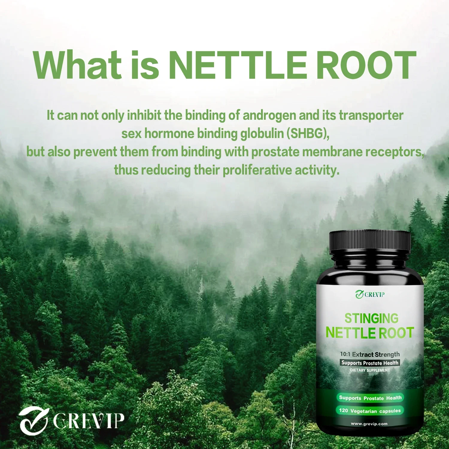 Stinging Nettle Root Extract Premium Prostate Health Support Supplement Reduce Frequent Urination Stamina