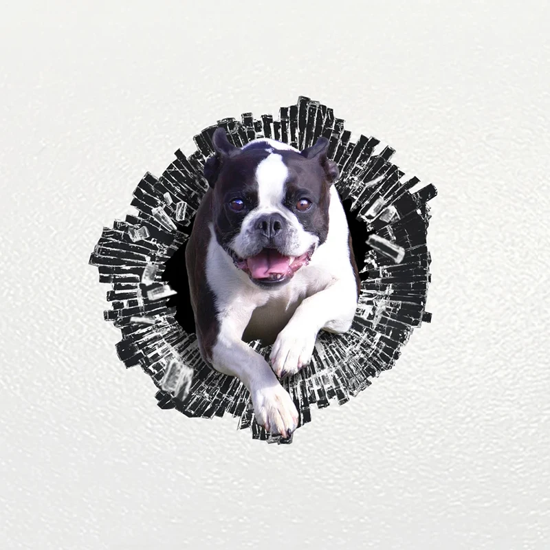 Aazon.co: Boston Terrier O Sticker Vinyl Decal Wall Laptop - Foto 4