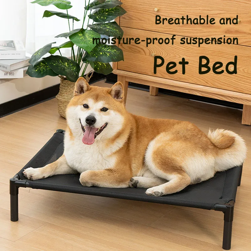 Elevated Dog Bed 1