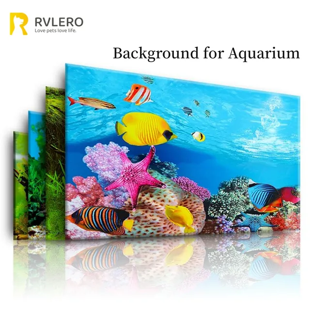 Aquarium Background Pets