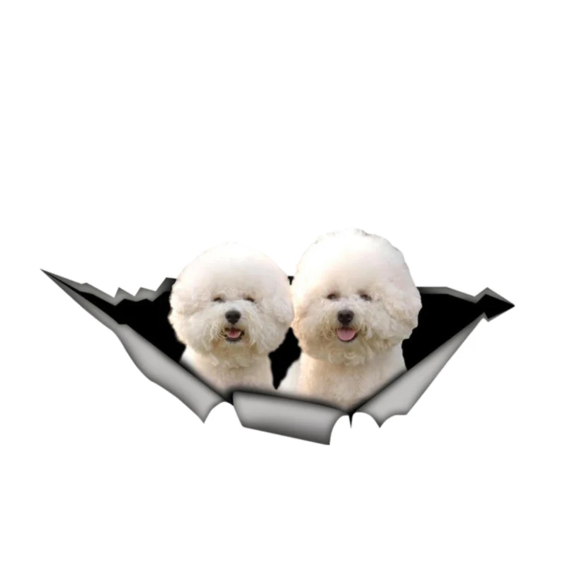 

V110# Car Sticker Bichon Frisé Waterproof Vinyl Decal Auto Accessories Pegatinas Para Coche DIY Styling