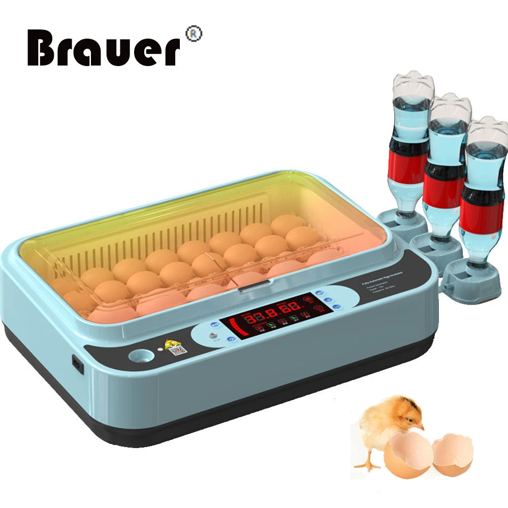 36 Eggs Chicken Automatic Eggs Incubator Bird Quail Brooder Full Egg