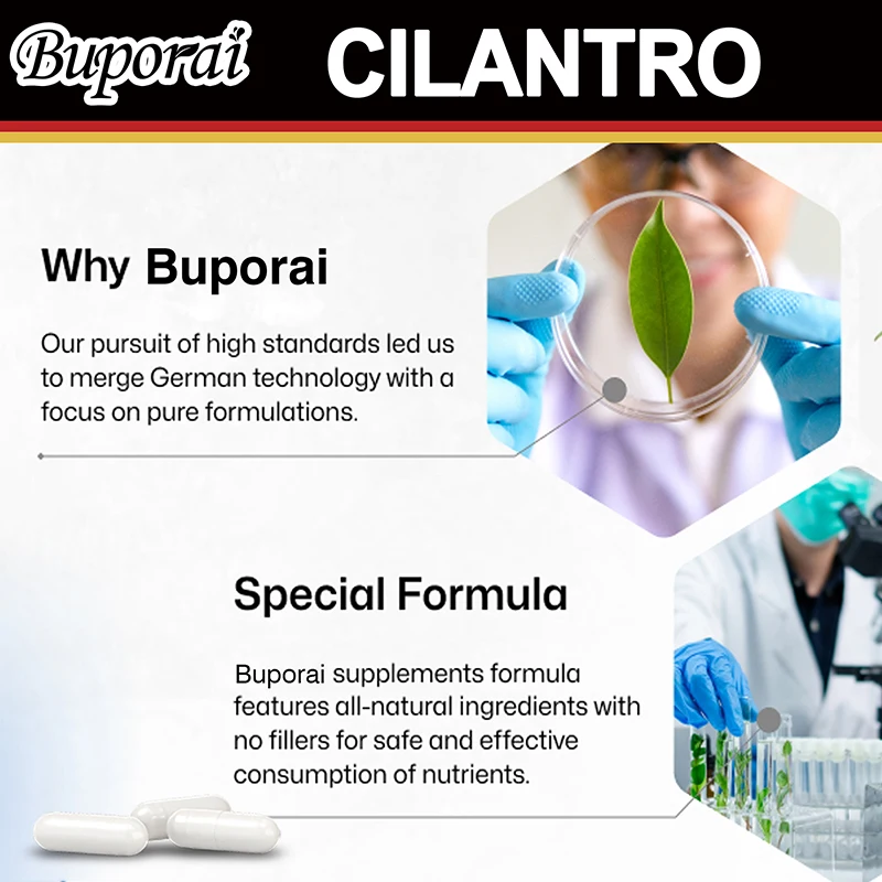Cilantro Supplement Rich Source of Antioxidants Natural Cleansing Detox