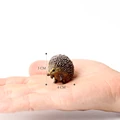 Hedgehog-5