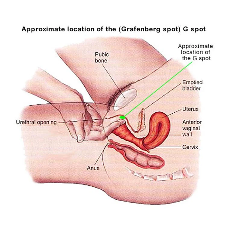 Табиғи азиялық кеуделер