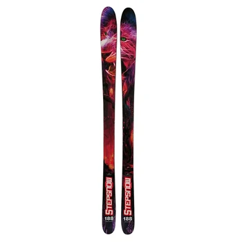 Customized popular professional alpine ski factory 3