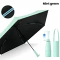 Mini model Mintgreen