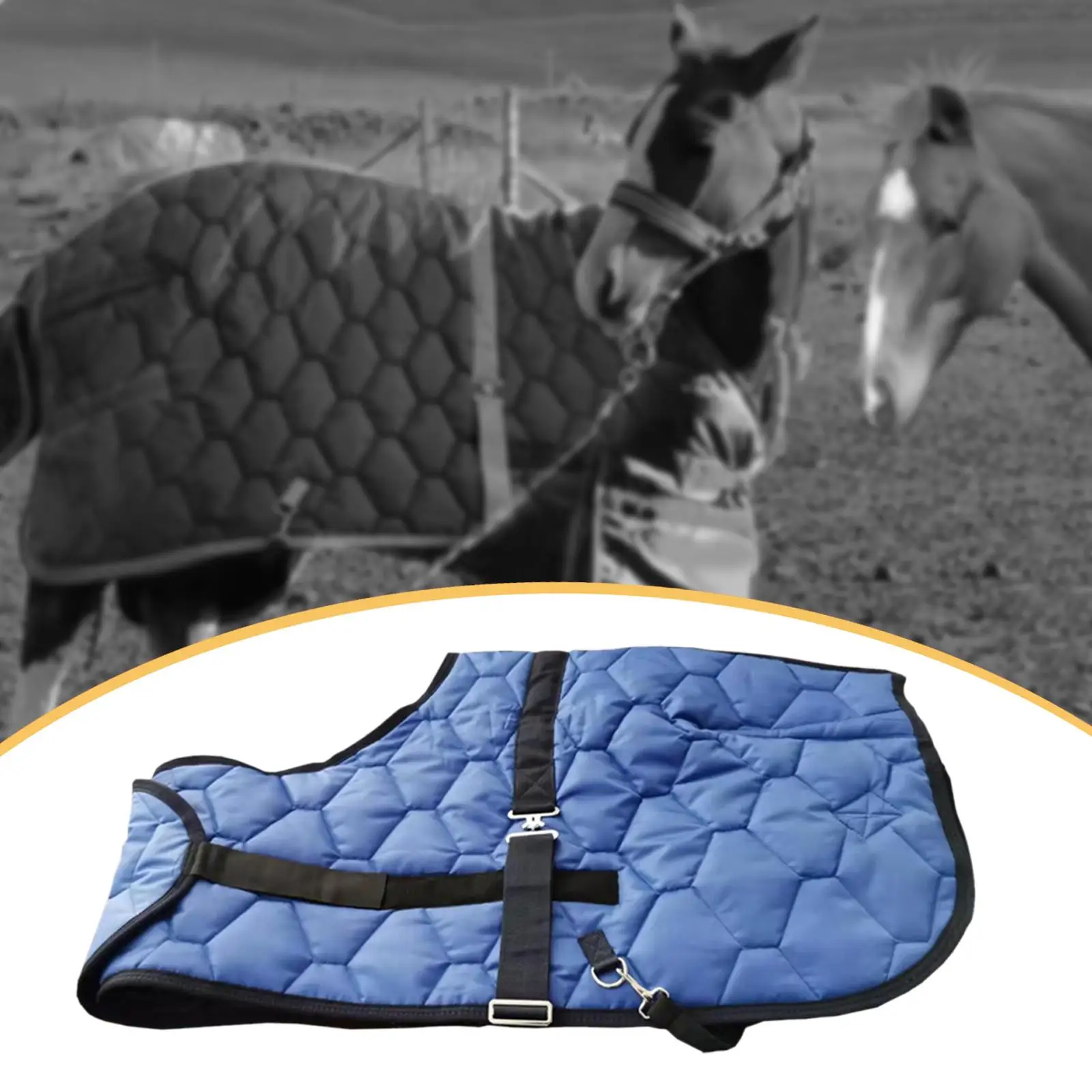 Horse Blanket Horse Clothing Tear Resistant Waterproof Horse Care Sheet Turnout Sheet Clothes for Transport Farm Pasture Stable