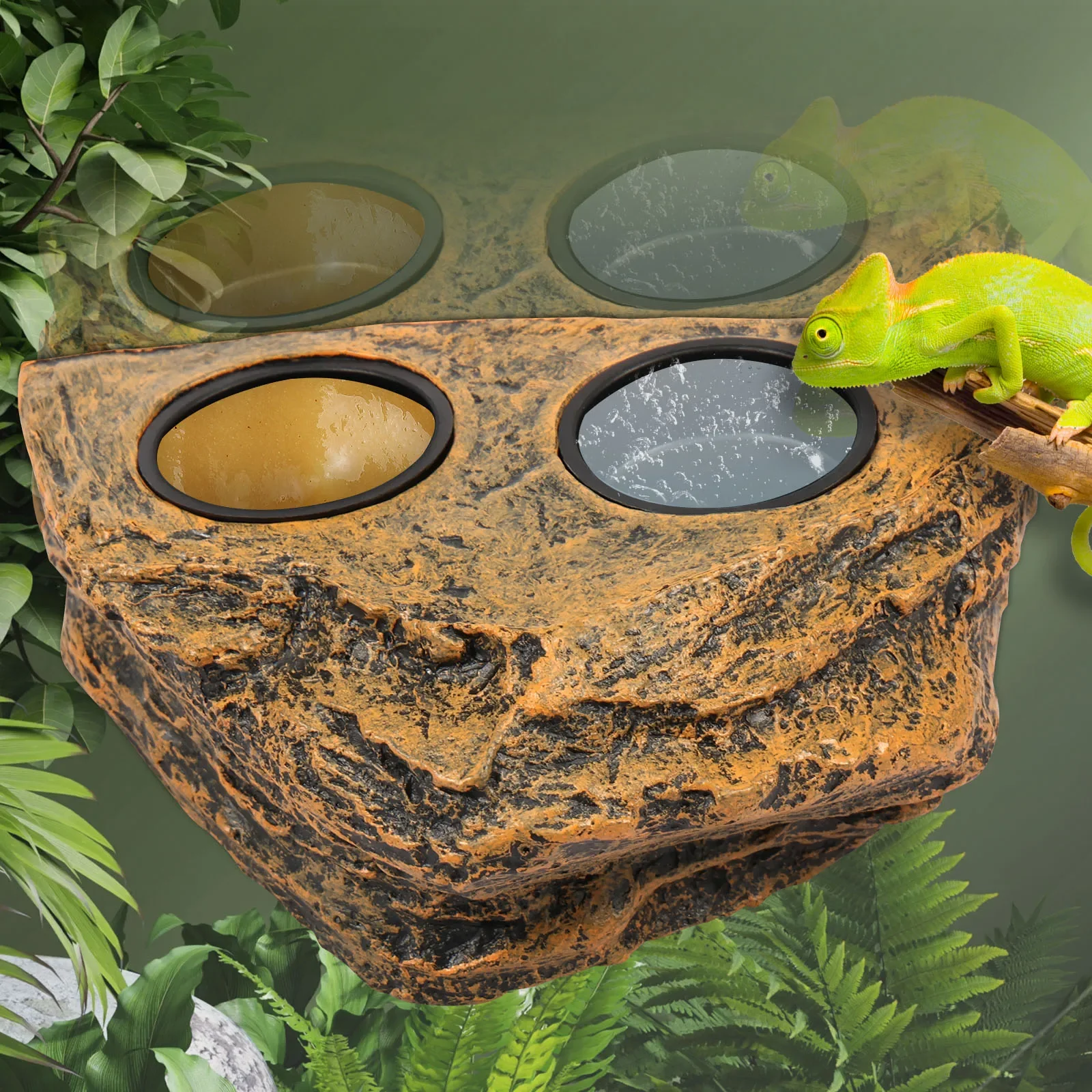Magnetic Reptile Feeder Ledge 1