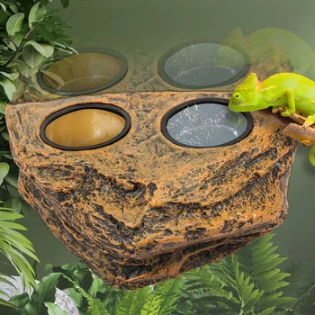 Magnetic Reptile Feeder Ledge 1